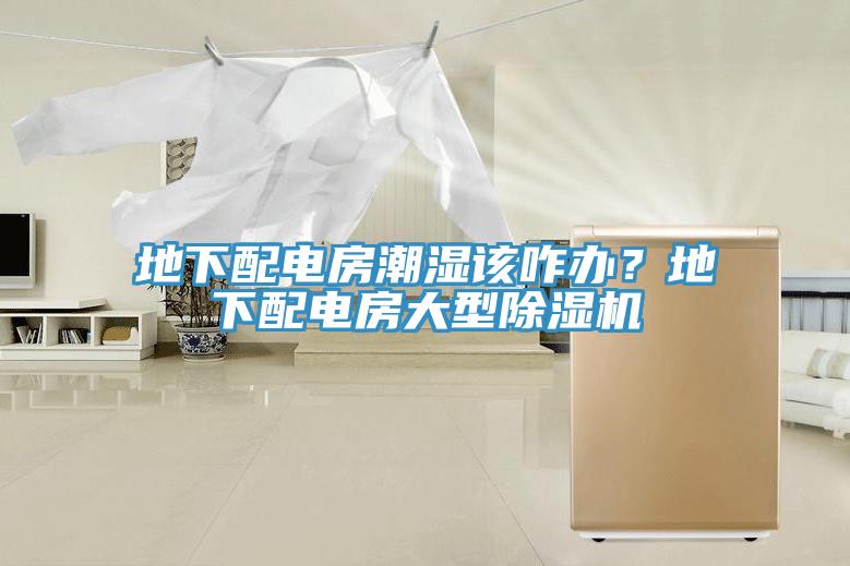 地下配電房潮濕該咋辦？地下配電房大型除濕機