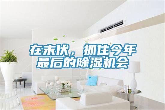 在末伏，抓住今年最后的除濕機會(huì )