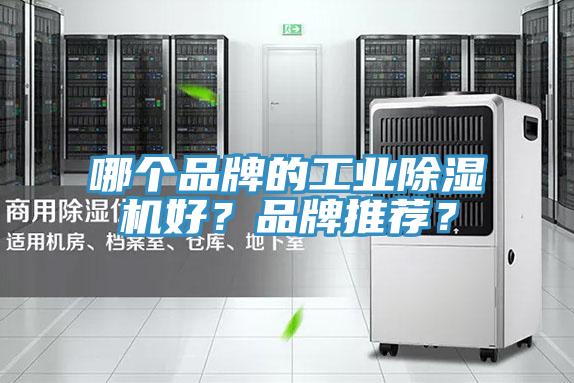 哪個(gè)品牌的工業(yè)除濕機好？品牌推薦？