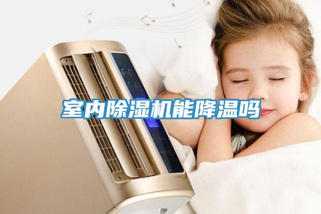 室內除濕機能降溫嗎