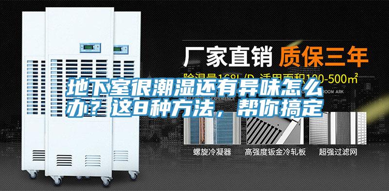 地下室很潮濕還有異味怎么辦？這8種方法，幫你搞定