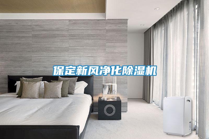 保定新風(fēng)凈化除濕機