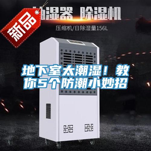 地下室太潮濕！教你5個(gè)防潮小妙招
