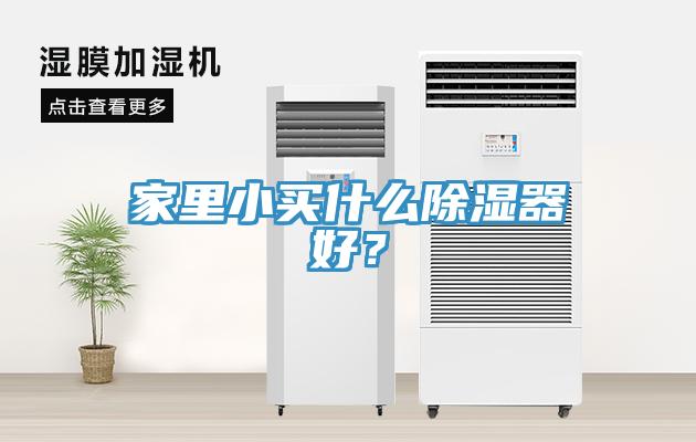 家里小買(mǎi)什么除濕器好？