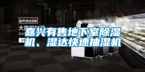 嘉興有售地下室除濕機、濕達快速抽濕機