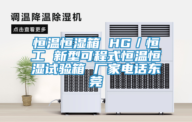 恒溫恒濕箱 HG／恒工 新型可程式恒溫恒濕試驗箱 廠(chǎng)家電話(huà)東莞