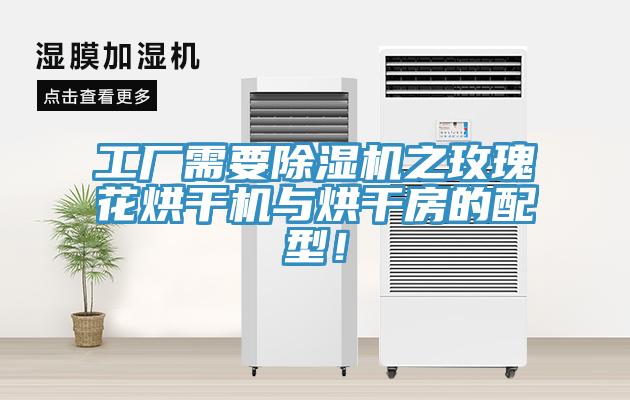工廠(chǎng)需要除濕機之玫瑰花烘干機與烘干房的配型！