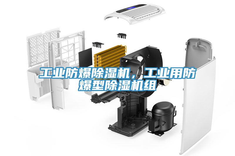 工業(yè)防爆除濕機，工業(yè)用防爆型除濕機組