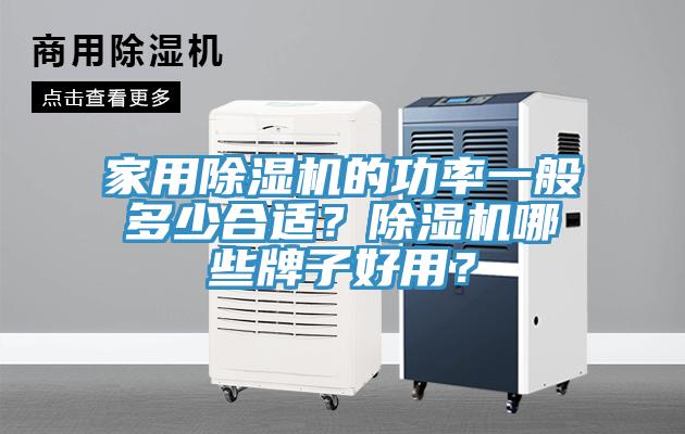 家用除濕機的功率一般多少合適？除濕機哪些牌子好用？