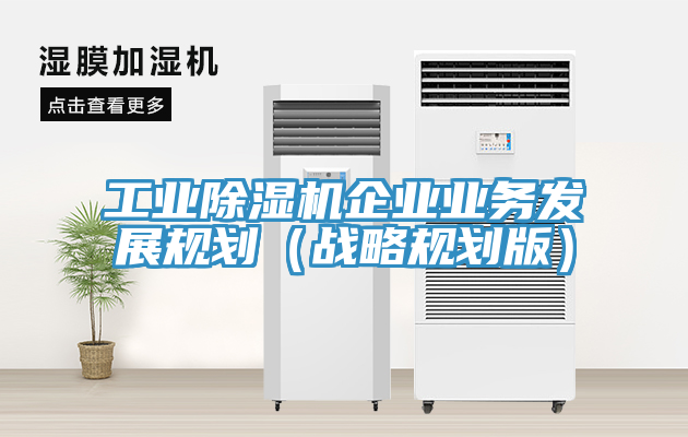 工業(yè)除濕機企業(yè)業(yè)務(wù)發(fā)展規劃（戰略規劃版）