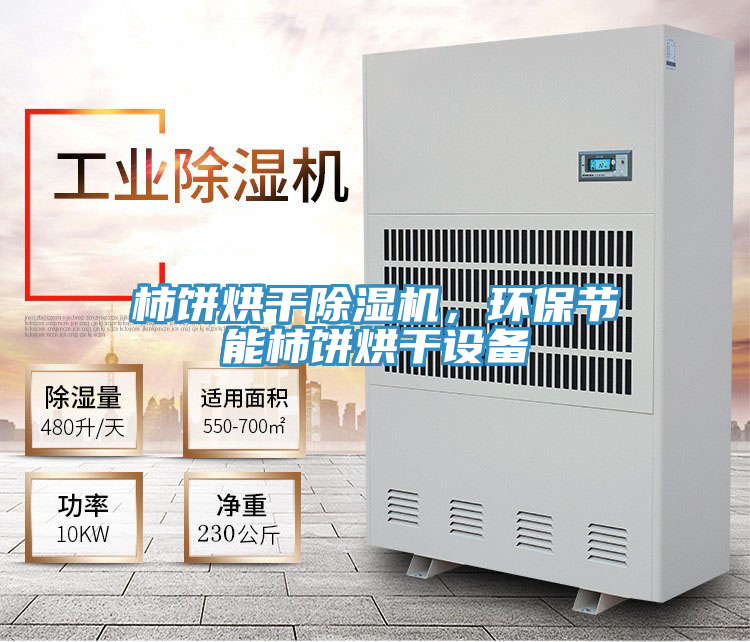 柿餅烘干除濕機，環(huán)保節能柿餅烘干設備