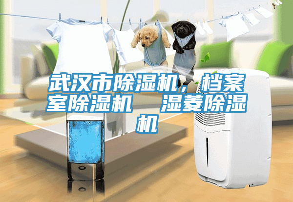 武漢市除濕機，檔案室除濕機  濕菱除濕機
