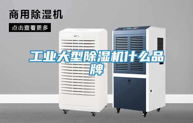 工業(yè)大型除濕機什么品牌