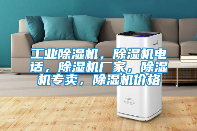 工業(yè)除濕機，除濕機電話(huà)，除濕機廠(chǎng)家，除濕機專(zhuān)賣(mài)，除濕機價(jià)格
