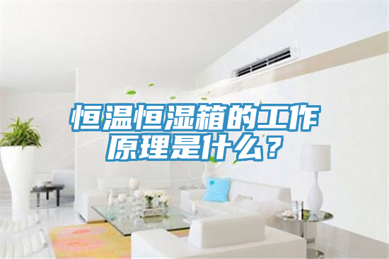 恒溫恒濕箱的工作原理是什么？