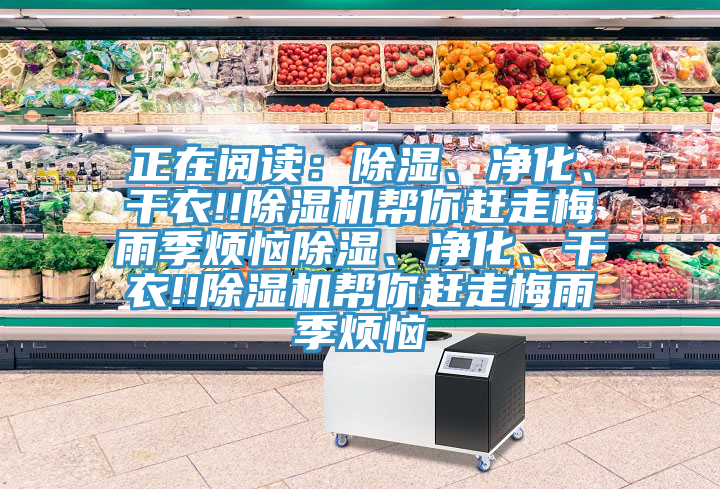 正在閱讀：除濕、凈化、干衣!!除濕機幫你趕走梅雨季煩惱除濕、凈化、干衣!!除濕機幫你趕走梅雨季煩惱