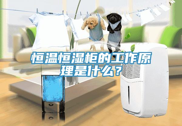 恒溫恒濕柜的工作原理是什么？