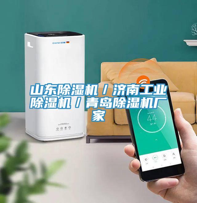 山東除濕機／濟南工業(yè)除濕機／青島除濕機廠(chǎng)家