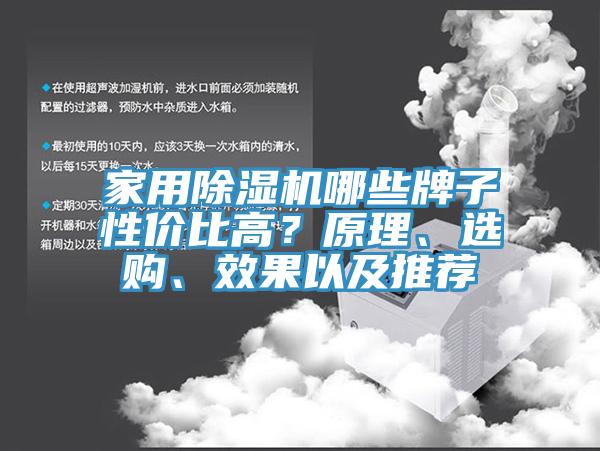 家用除濕機哪些牌子性?xún)r(jià)比高？原理、選購、效果以及推薦
