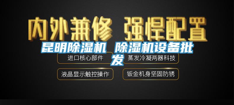 昆明除濕機 除濕機設備批發(fā)