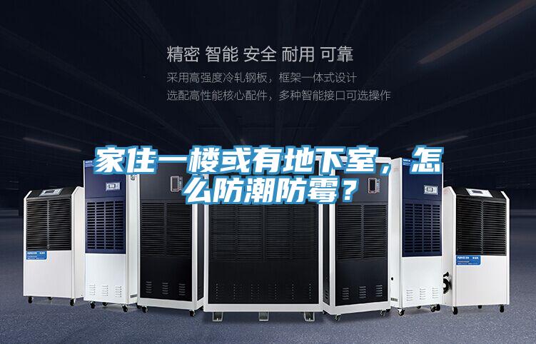 家住一樓或有地下室，怎么防潮防霉？