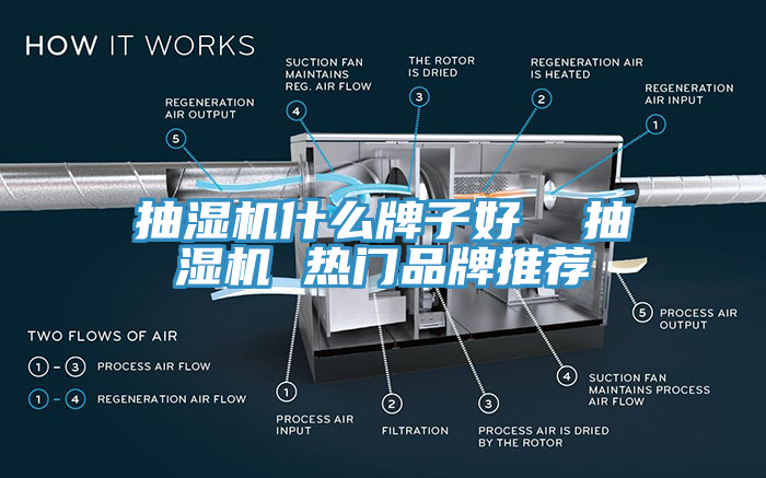 抽濕機什么牌子好  抽濕機 熱門(mén)品牌推薦