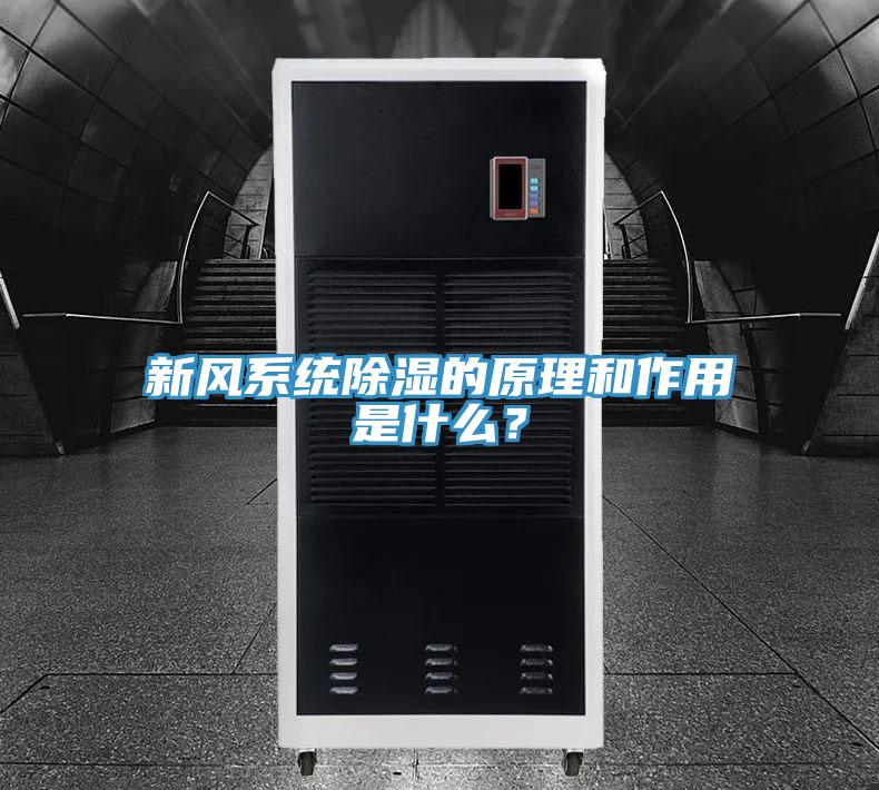 新風(fēng)系統除濕的原理和作用是什么？
