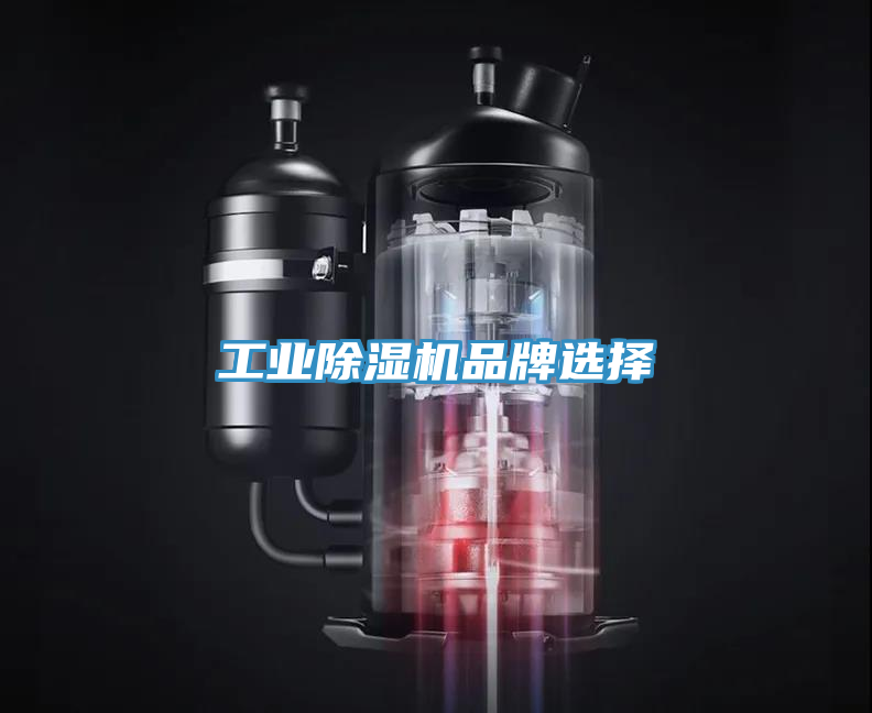 工業(yè)除濕機品牌選擇