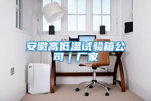 安徽高低溫試驗箱公司｜廠(chǎng)家