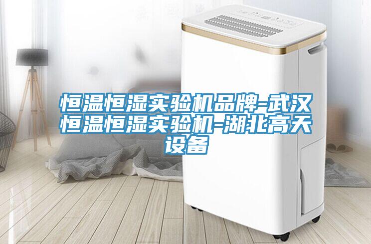 恒溫恒濕實(shí)驗機品牌-武漢恒溫恒濕實(shí)驗機-湖北高天設備