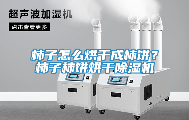 柿子怎么烘干成柿餅？柿子柿餅烘干除濕機