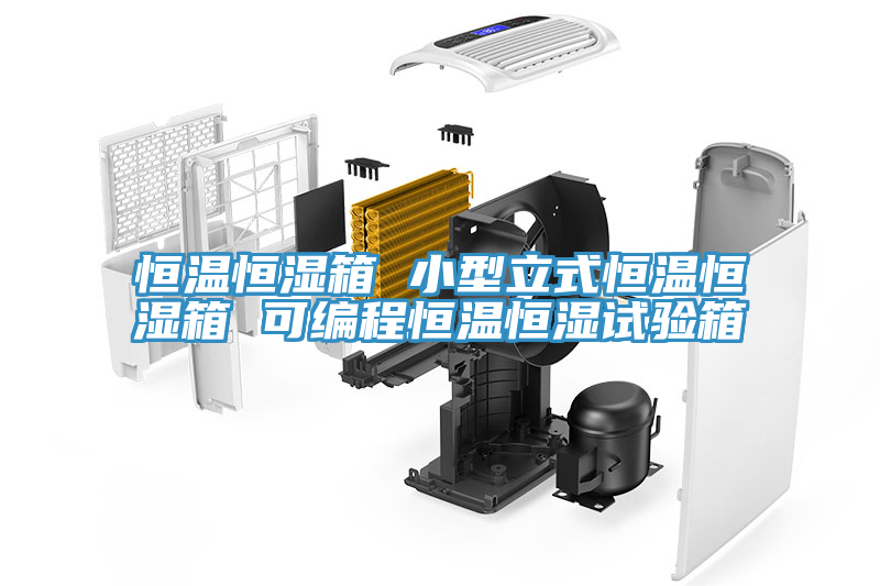 恒溫恒濕箱 小型立式恒溫恒濕箱 可編程恒溫恒濕試驗箱