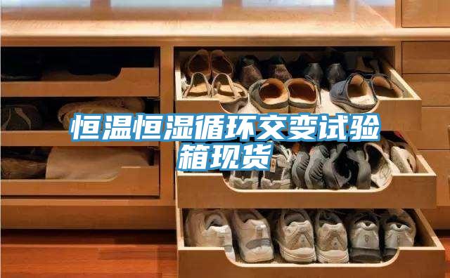 恒溫恒濕循環(huán)交變試驗箱現貨