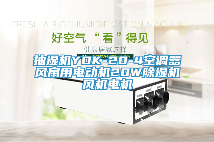 抽濕機YDK-20-4空調器風(fēng)扇用電動(dòng)機20W除濕機風(fēng)機電機