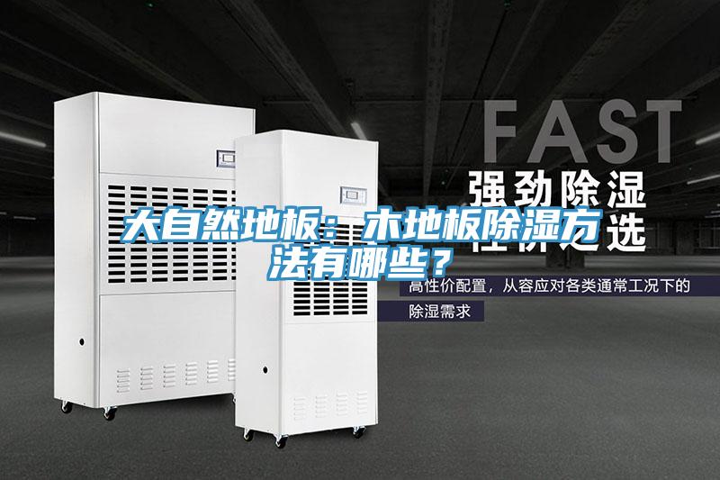 大自然地板：木地板除濕方法有哪些？