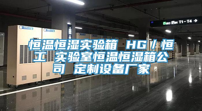 恒溫恒濕實(shí)驗箱 HG／恒工 實(shí)驗室恒溫恒濕箱公司 定制設備廠(chǎng)家
