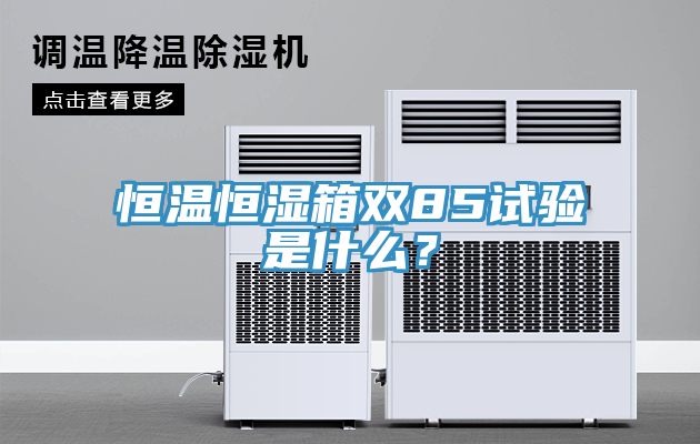 恒溫恒濕箱雙85試驗是什么？