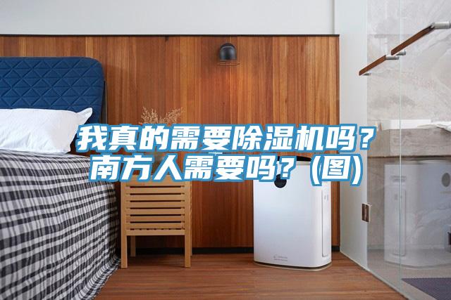 我真的需要除濕機嗎？南方人需要嗎？(圖)