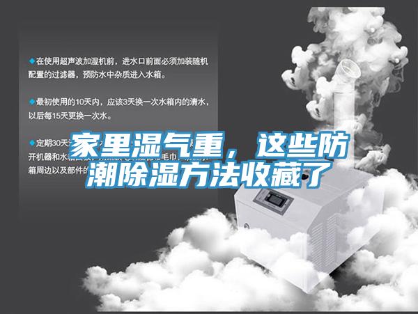家里濕氣重，這些防潮除濕方法收藏了