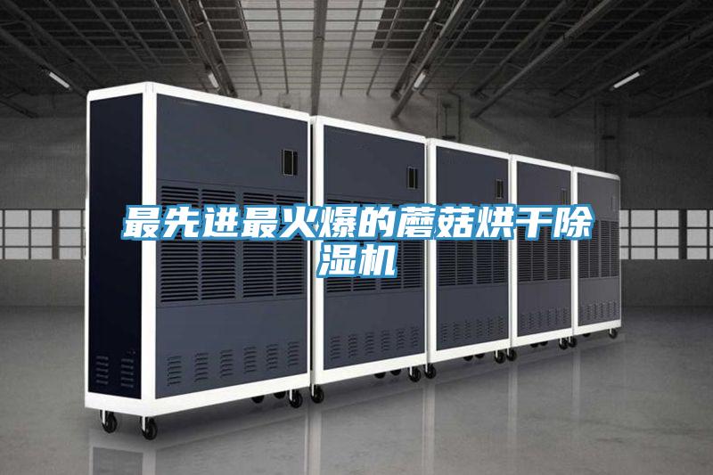 最先進(jìn)最火爆的蘑菇烘干除濕機