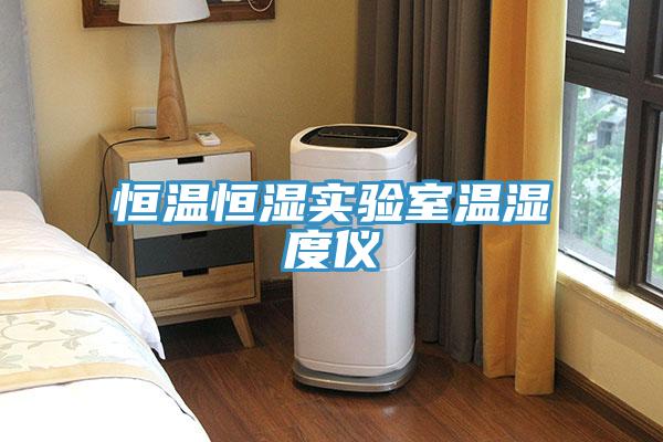 恒溫恒濕實(shí)驗室溫濕度儀