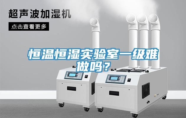 恒溫恒濕實(shí)驗室一級難做嗎？