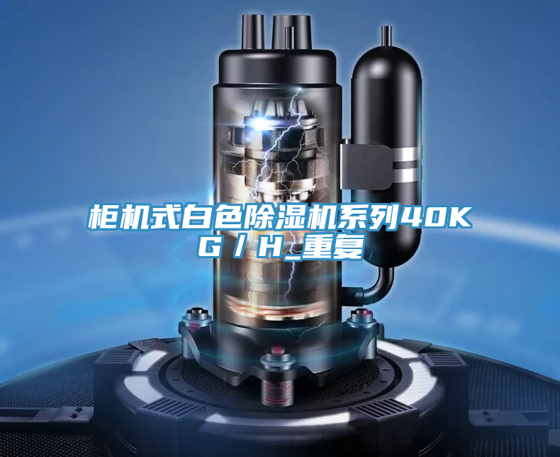 柜機式白色除濕機系列40KG/H_重復