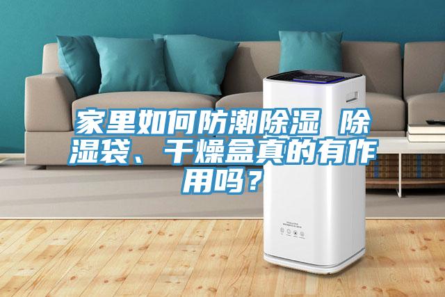 家里如何防潮除濕 除濕袋、干燥盒真的有作用嗎？