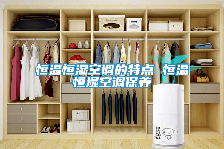 恒溫恒濕空調的特點(diǎn) 恒溫恒濕空調保養