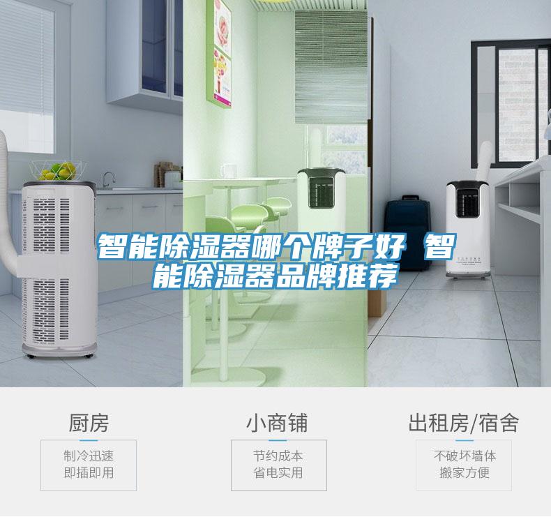 智能除濕器哪個(gè)牌子好 智能除濕器品牌推薦