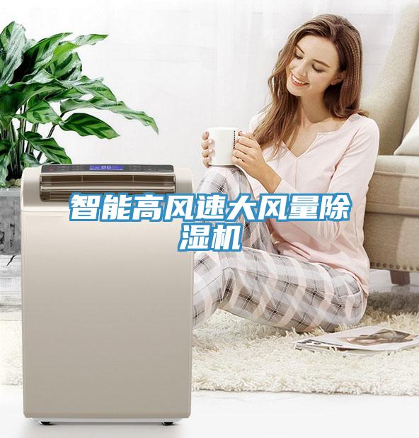 智能高風(fēng)速大風(fēng)量除濕機
