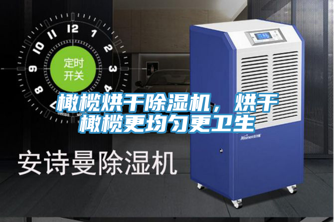 橄欖烘干除濕機，烘干橄欖更均勻更衛生
