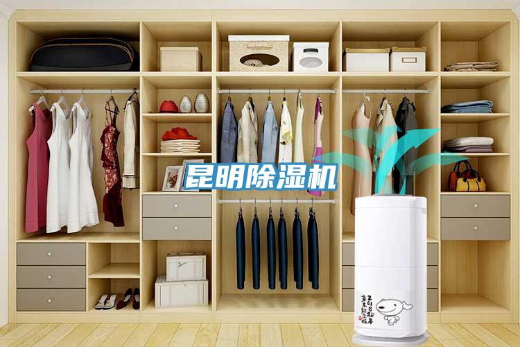 昆明除濕機
