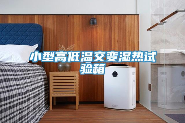 小型高低溫交變濕熱試驗箱